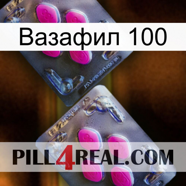 Вазафил 100 01.jpg